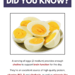 Did You Know Eggs Support Brain Function Every Day TB1 DidYouKNow (1) - Copy