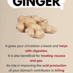 Ginger for Digestion and Gut Health: Key Benefits TB1 DidYouKNow (7)